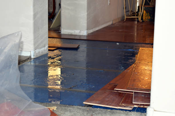 Professional Burst Pipe Cleanup technician working in Amesville, OH